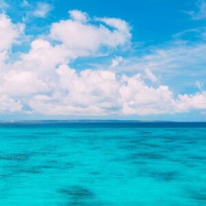 学校脳教育専門講師